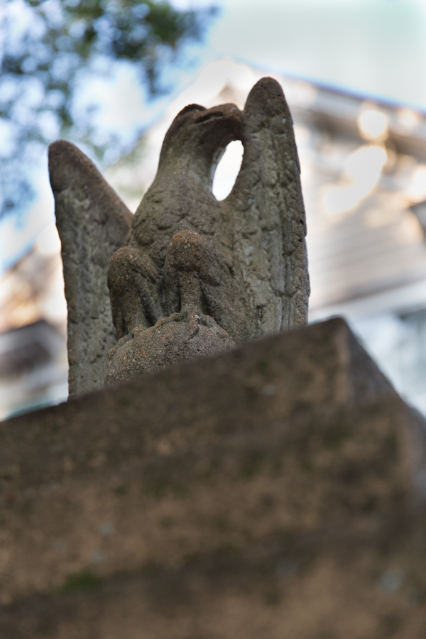 Eagle in Charleston, South Carolina