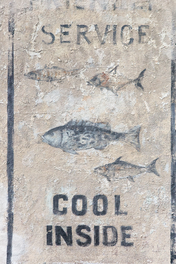 Cool Sign in Charleston, South Carolina