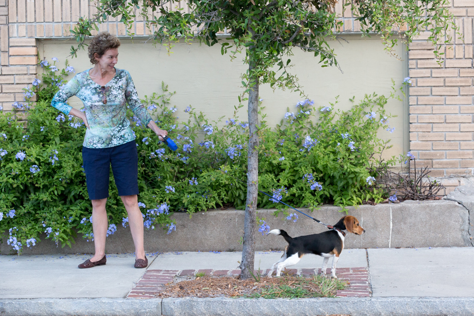On a Walk in Charleston, South Carolina