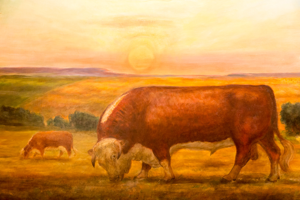 Kansas Cow in Topeka, Kansas