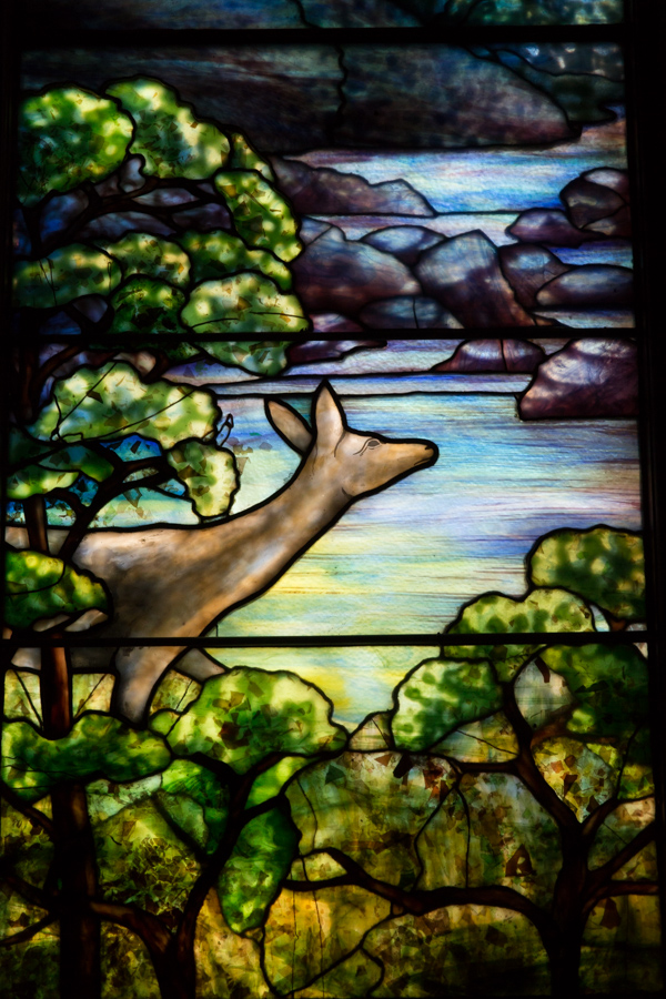 Tiffany Deer in Topeka, Kansas