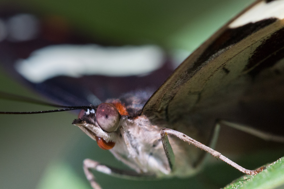Cool Eyes in Scottsdale, Arizona