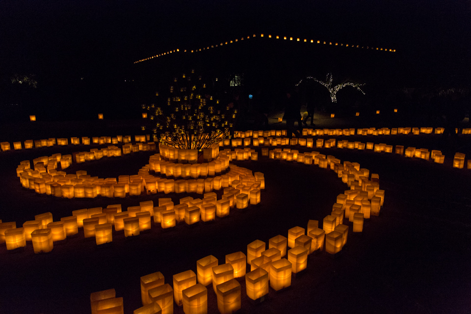 Luminaria in Phoenix, Arizona